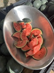 Watermelon!! 