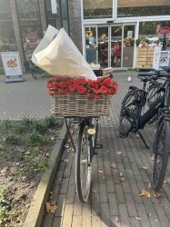 Bloemen op de fiets